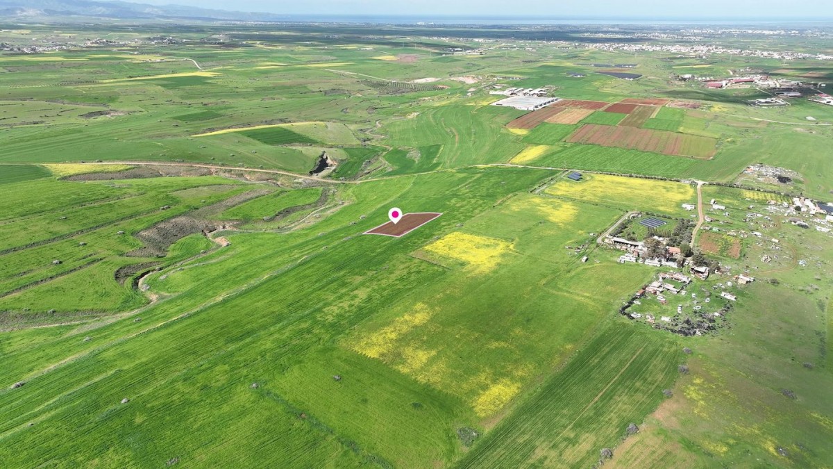 Animal Breeding field in Peristerona, Nicosia