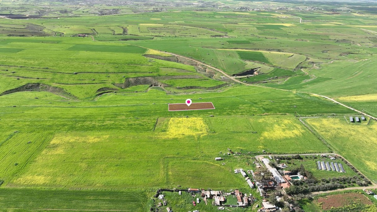 Animal Breeding field in Peristerona, Nicosia