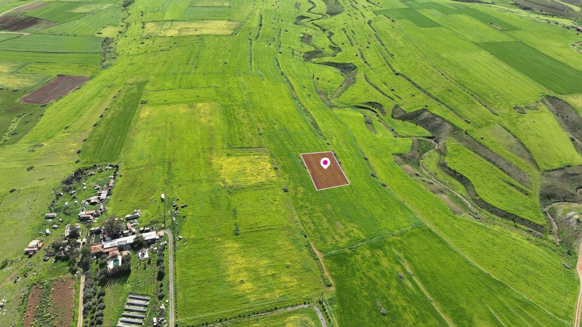 Animal Breeding field in Peristerona, Nicosia