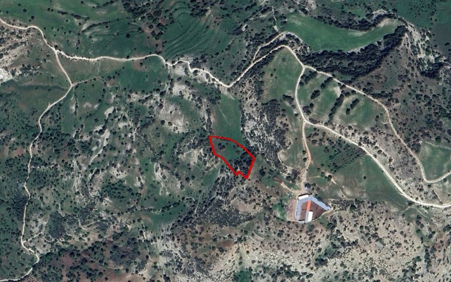 Episkopi, Paphos Agricultural Field For Sale | WW26623