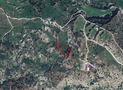 Episkopi, Paphos Agricultural Field For Sale | WW26623