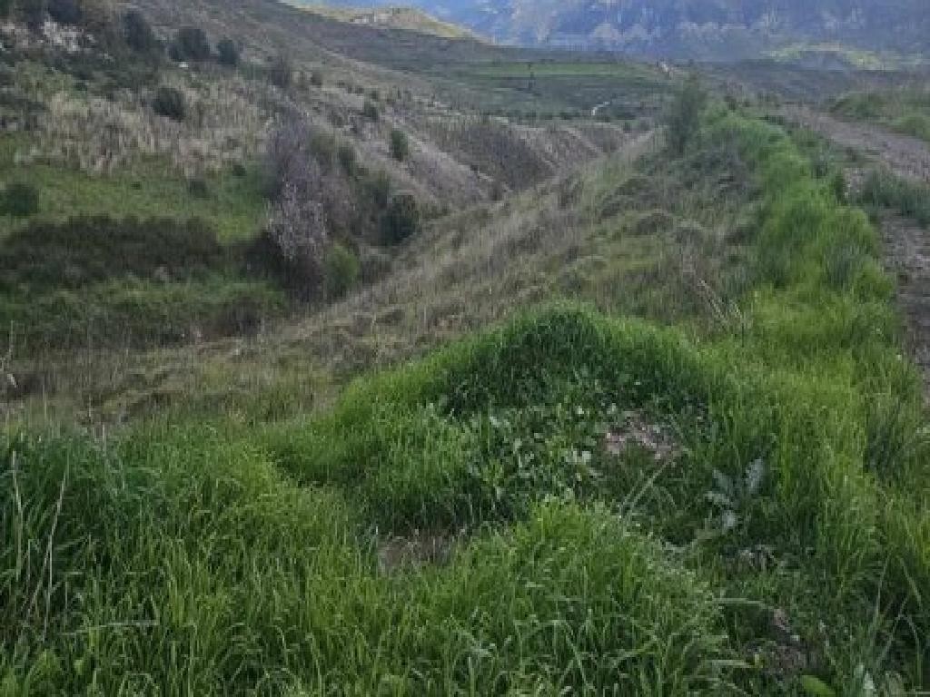 Galataria, Paphos Agricultural Field For Sale | WW30939