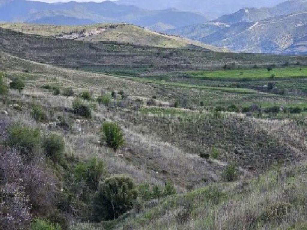 Galataria, Paphos Agricultural Field For Sale | WW30940