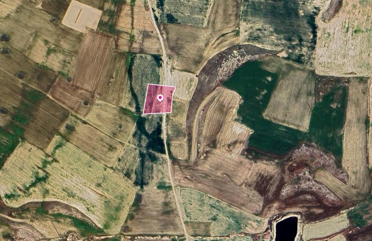 Kokkinotrimithia Agricultural Field For Sale | WW30955