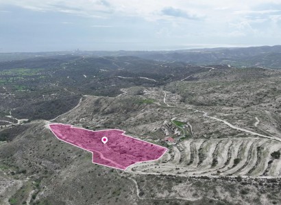 Choirokoitia, Larnaca Agricultural Field For Sale | WW30956