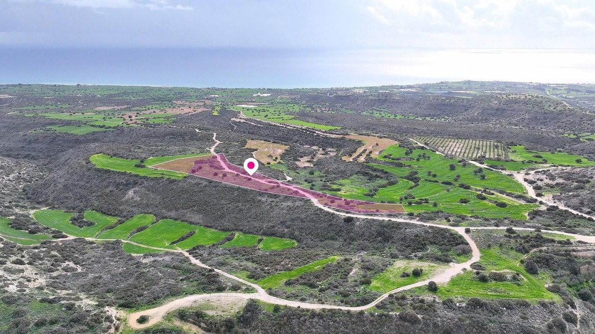 Ayios Theodoros Agricultural Field For Sale | WW30957