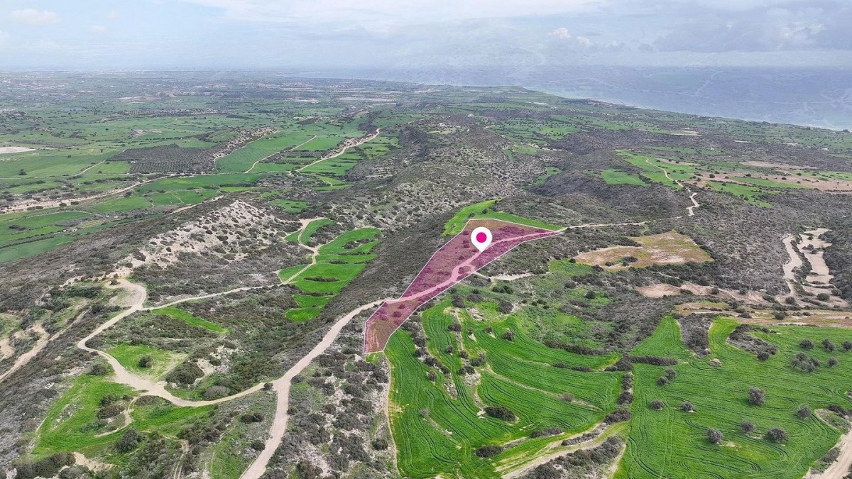 Agricultural field in Agios Theodoros, Larnaca