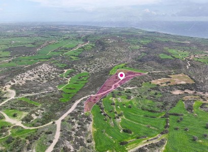 Ayios Theodoros Agricultural Field For Sale | WW30957