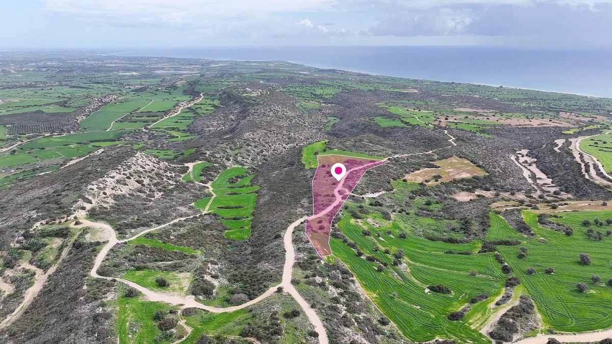 Agricultural field in Agios Theodoros, Larnaca