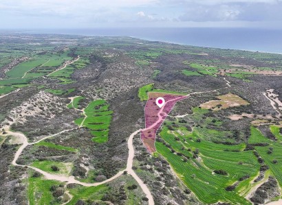 Ayios Theodoros Agricultural Field For Sale | WW30957
