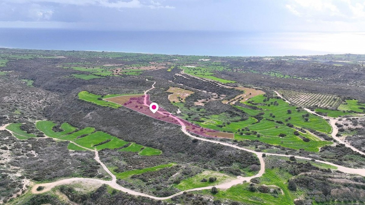 Agricultural field in Agios Theodoros, Larnaca