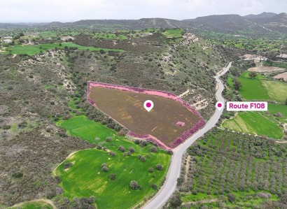 Ayios Theodoros Industrial Field For Sale | WW30958