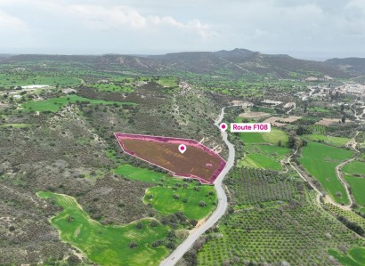 Ayios Theodoros Industrial Field For Sale | WW30958