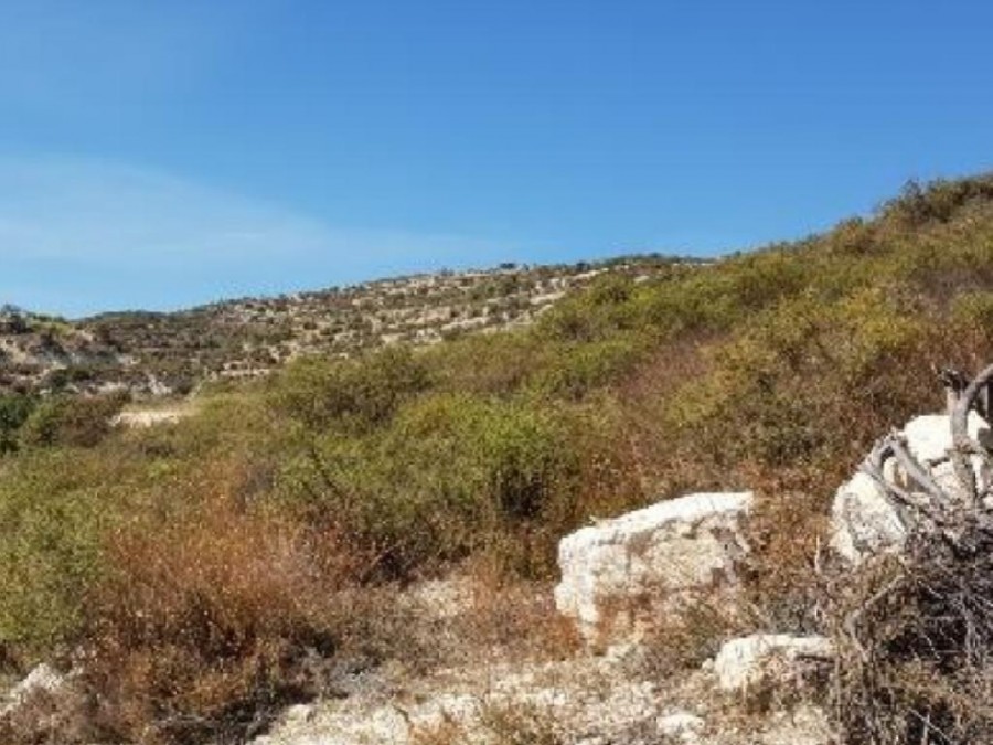 Koilani, Limassol Agricultural Field For Sale | WW26632