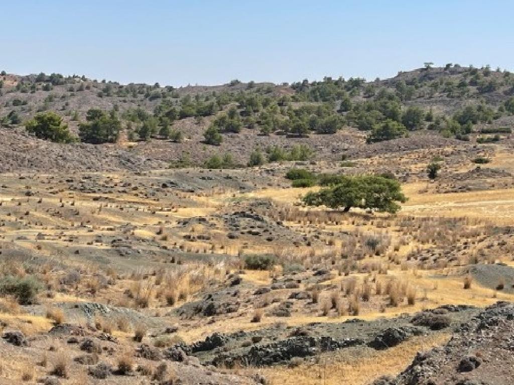 Politiko, Nicosia Agricultural Field For Sale | WW31006