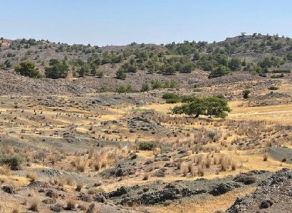 Politiko, Nicosia Agricultural Field For Sale | WW31006