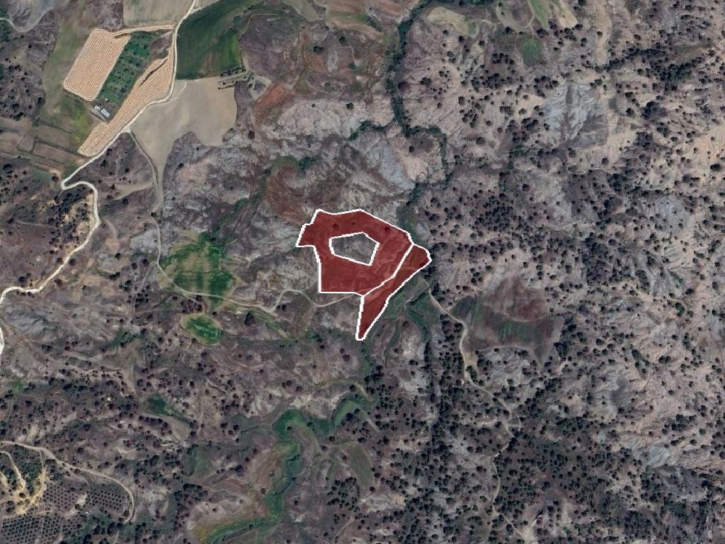 Field - Politiko, Nicosia