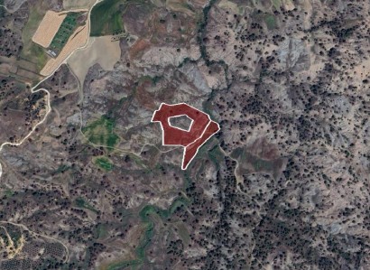 Politiko, Nicosia Agricultural Field For Sale | WW31006