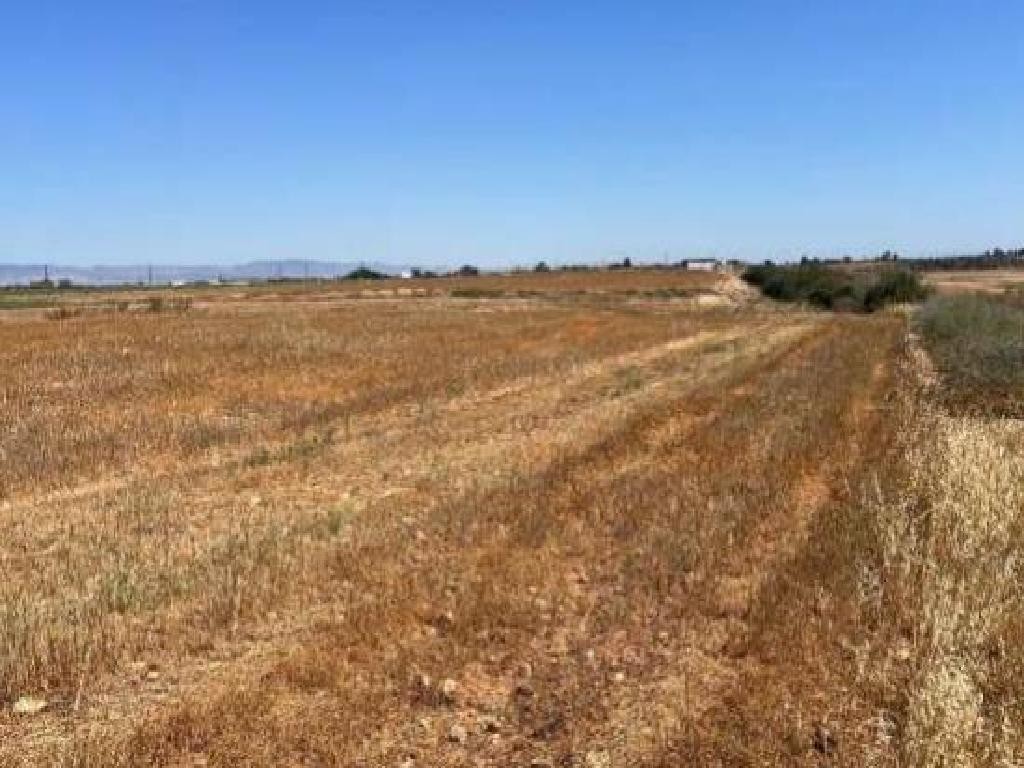 Achna, Famagusta Agricultural Field For Sale | WW31008