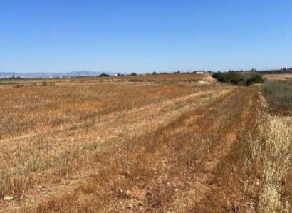 Achna, Famagusta Agricultural Field For Sale | WW31008