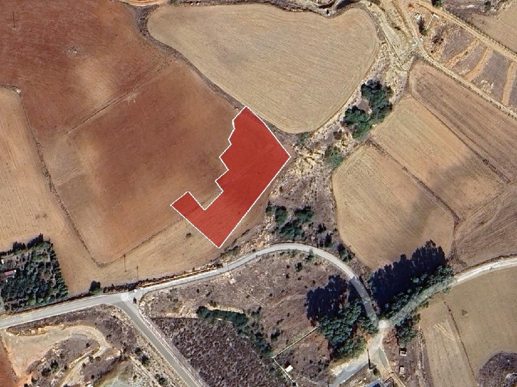 Field - Achna, Famagusta