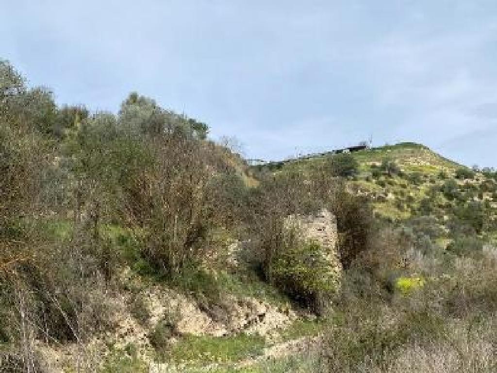 Amargeti, Paphos Agricultural Field For Sale | WW31025