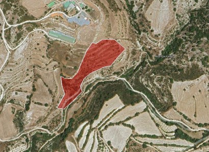 Amargeti, Paphos Agricultural Field For Sale | WW31025