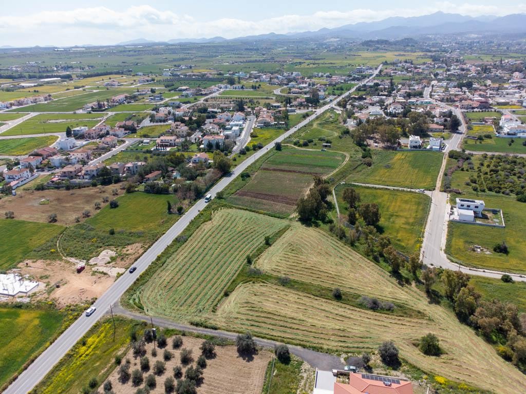 Field - Psimolofou, Nicosia