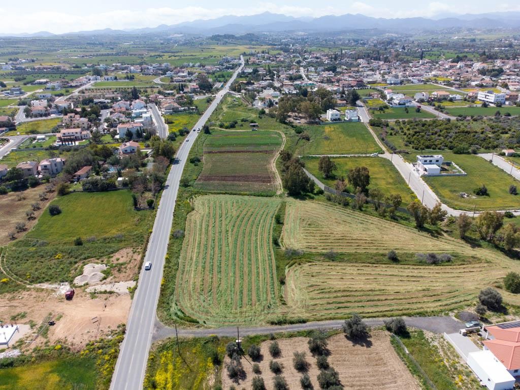 Field - Psimolofou, Nicosia