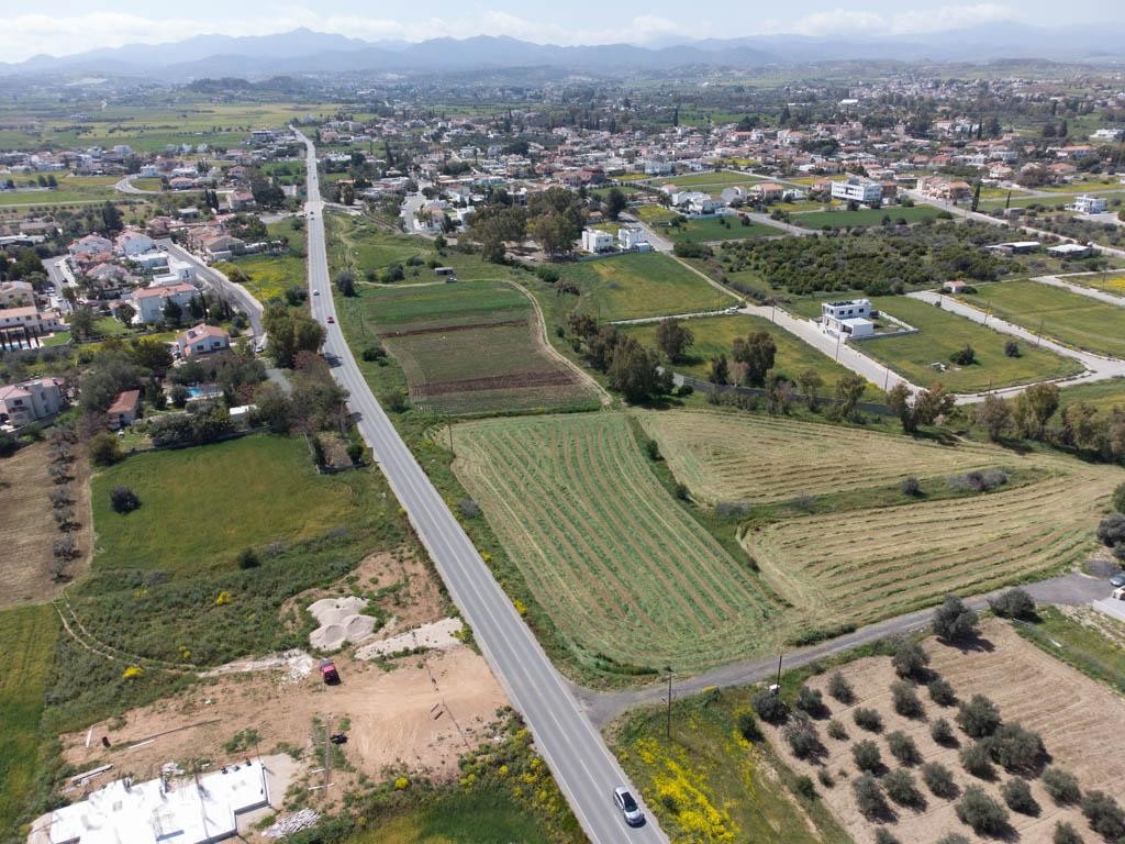 Field - Psimolofou, Nicosia