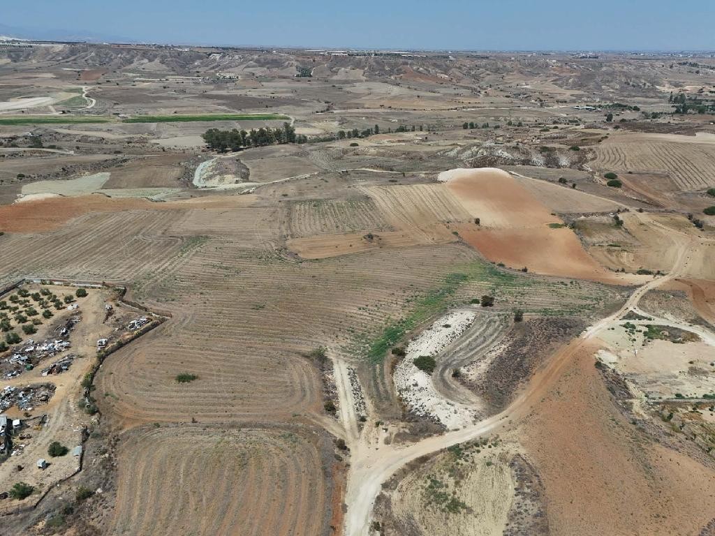 Field - Ergates, Nicosia