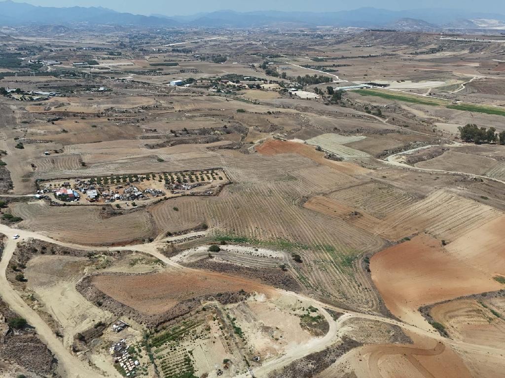 Field - Ergates, Nicosia