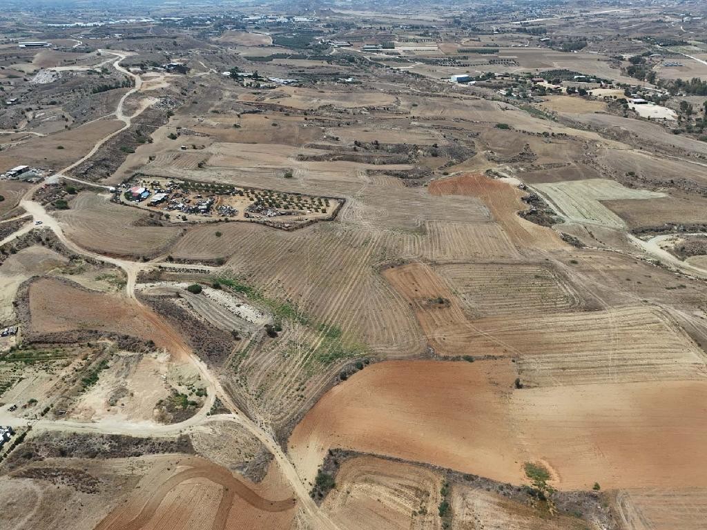Field - Ergates, Nicosia