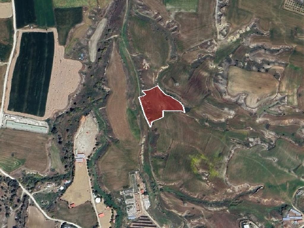 Field - Ergates, Nicosia