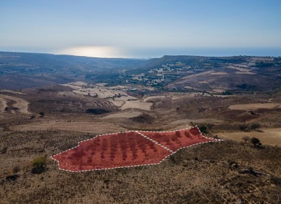 Ineia, Paphos Touristic Field For Sale | WW31055