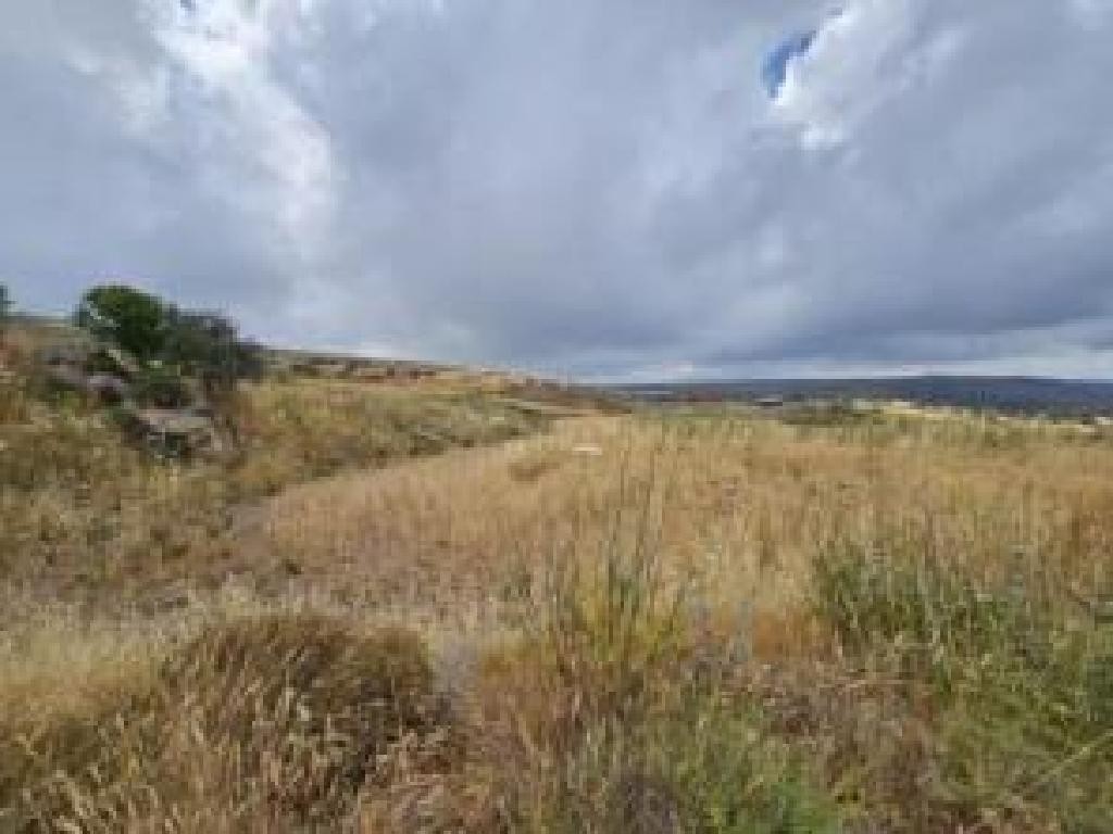 Ineia, Paphos Agricultural Field For Sale | WW31056