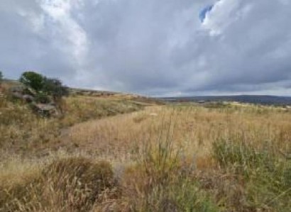 Ineia, Paphos Agricultural Field For Sale | WW31056