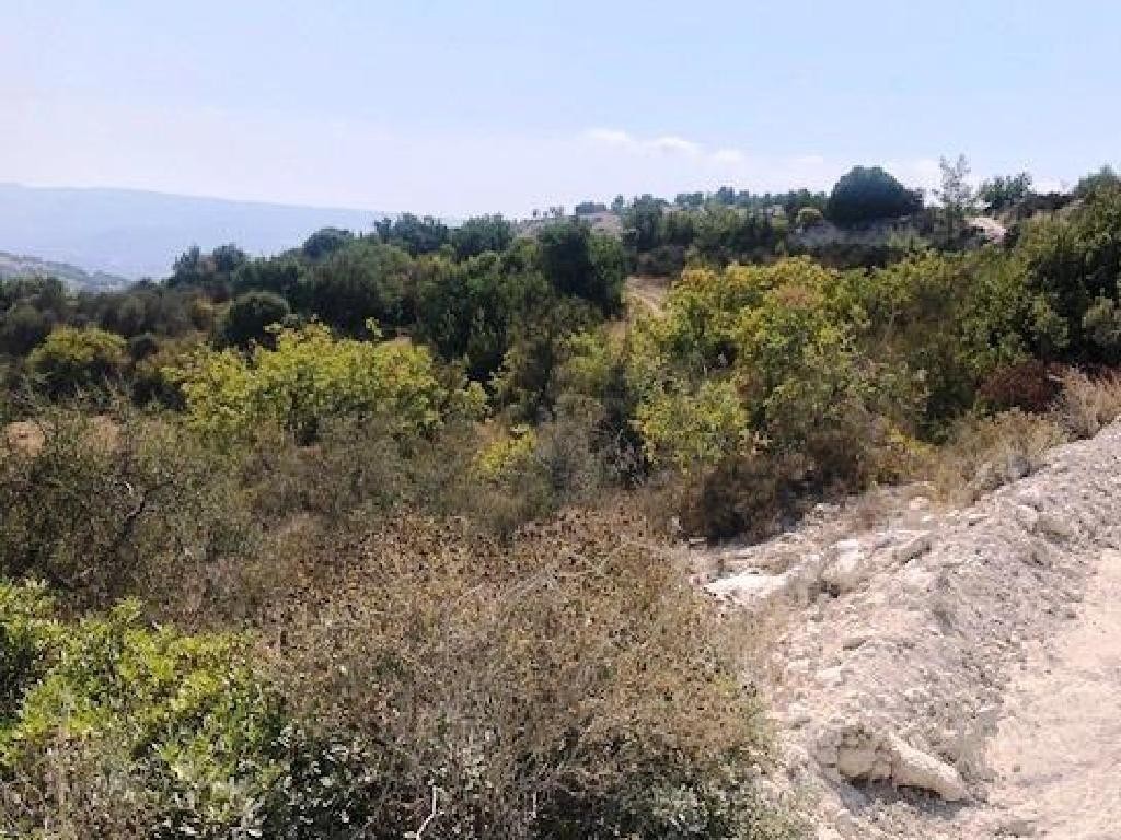 Peristerona, Paphos Agricultural Field For Sale | WW31067