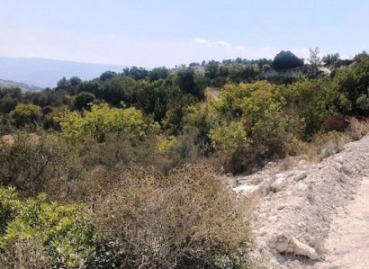 Peristerona, Paphos Agricultural Field For Sale | WW31067