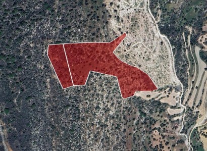 Peristerona, Paphos Agricultural Field For Sale | WW31067