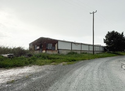 Aradippou Industrial / Warehouse For Sale | WW31082