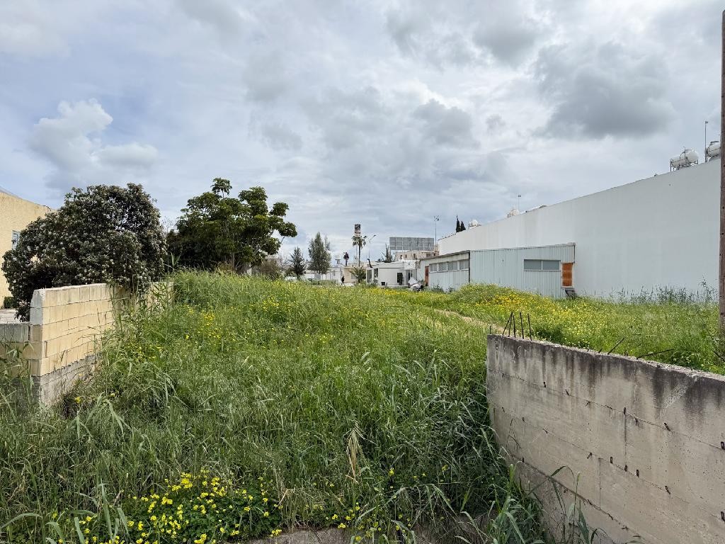 Field - Paralimni, Famagusta