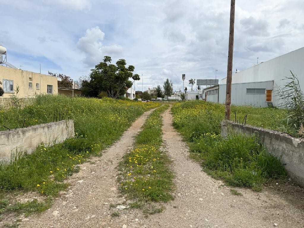 Field - Paralimni, Famagusta