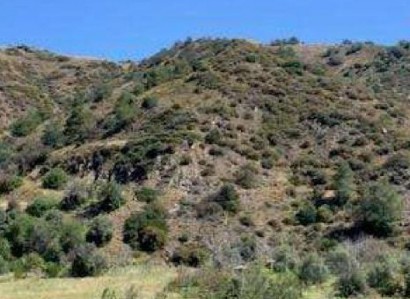 Pomos, Paphos Agricultural Field For Sale | WW31087