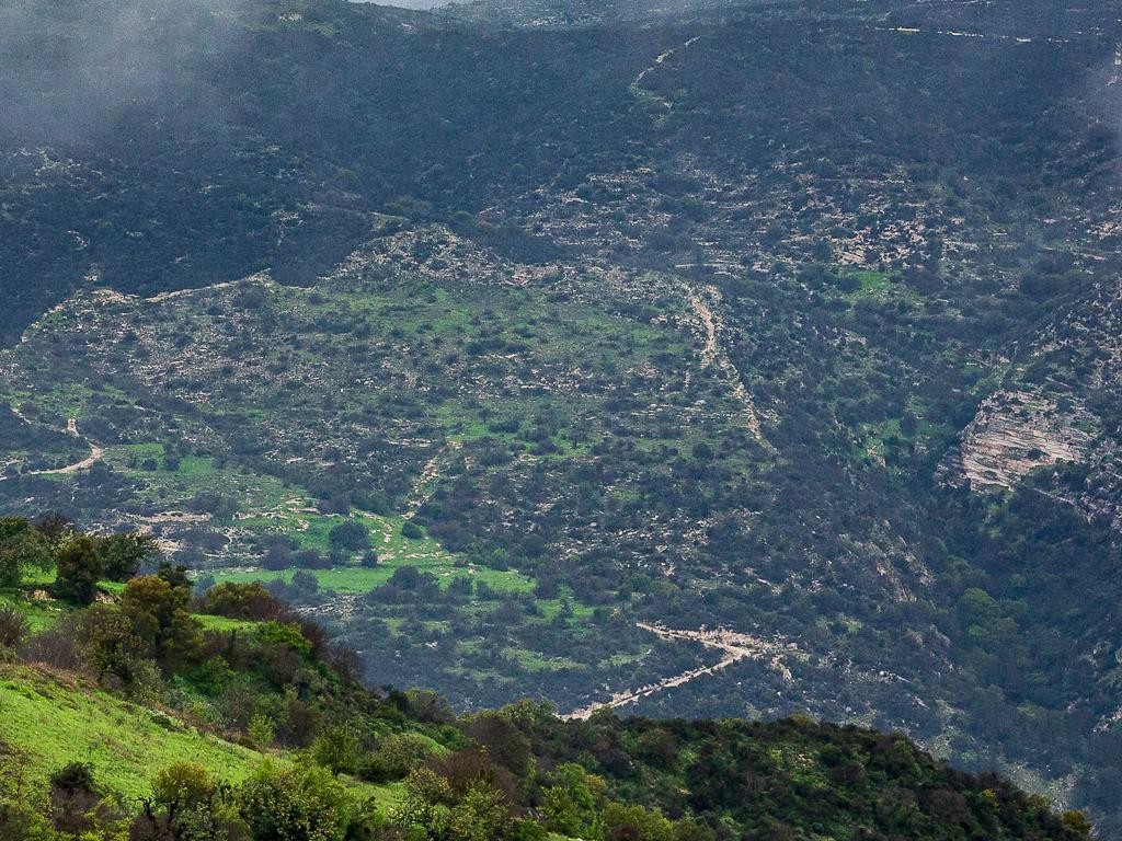 Field - Akoursos, Paphos