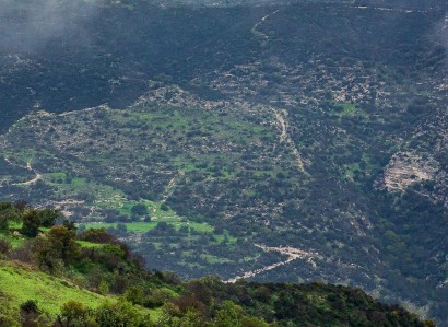 Akoursos, Paphos Agricultural Field For Sale | WW31096