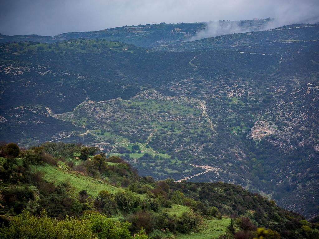 Field - Akoursos, Paphos