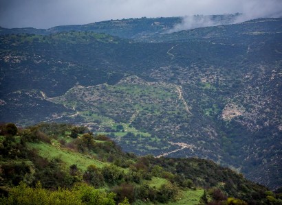 Akoursos, Paphos Agricultural Field For Sale | WW31096