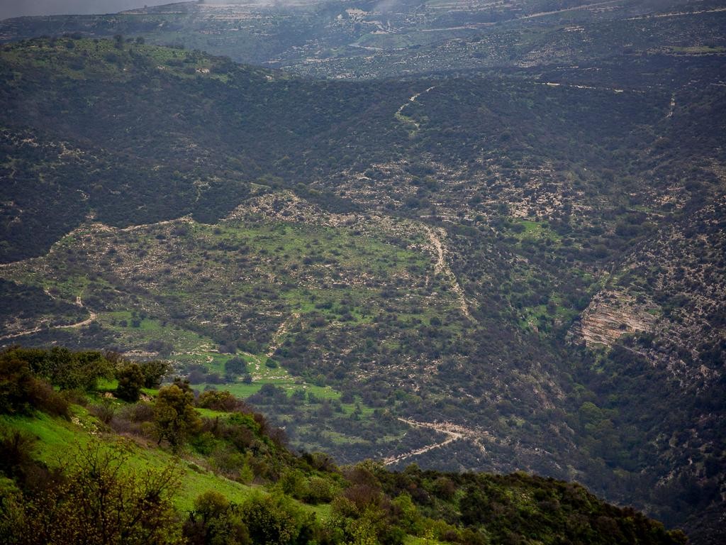Field - Akoursos, Paphos