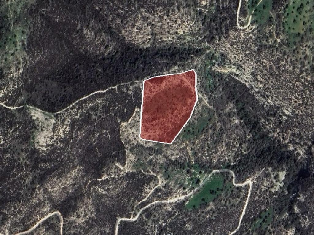 Field - Akoursos, Paphos